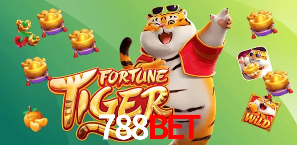 Experiência VIP 788BET